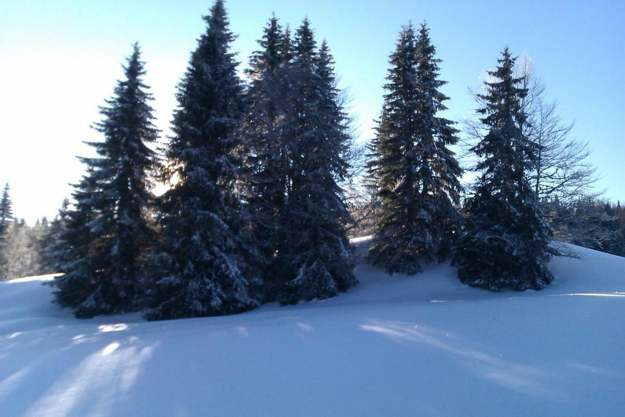 Chalet Daria Premanon Exterior photo