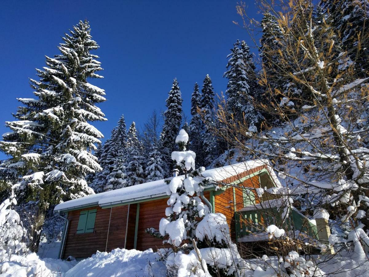 Chalet Daria Premanon Exterior photo