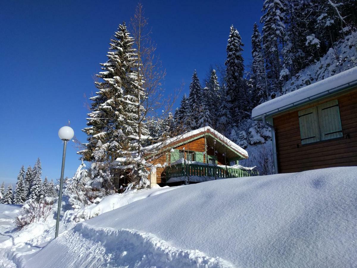 Chalet Daria Premanon Exterior photo